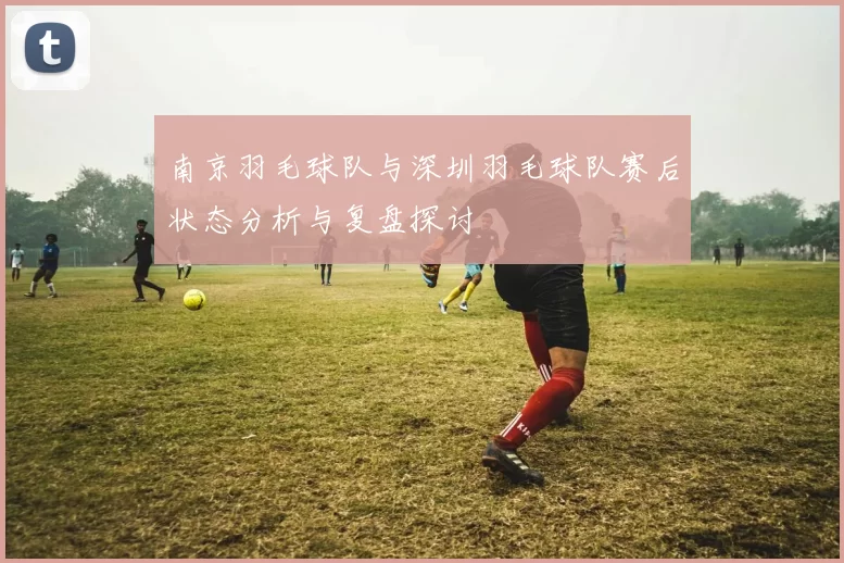 南京羽毛球队与深圳羽毛球队赛后状态分析与复盘探讨