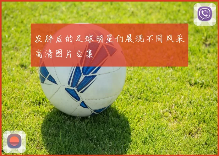 发胖后的足球明星们展现不同风采高清图片合集