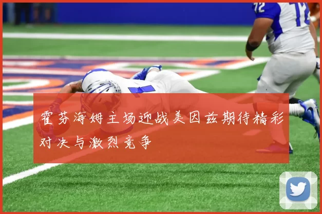 霍芬海姆主场迎战美因兹期待精彩对决与激烈竞争
