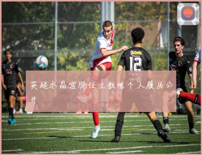 英超水晶宫现任主教练个人履历公开