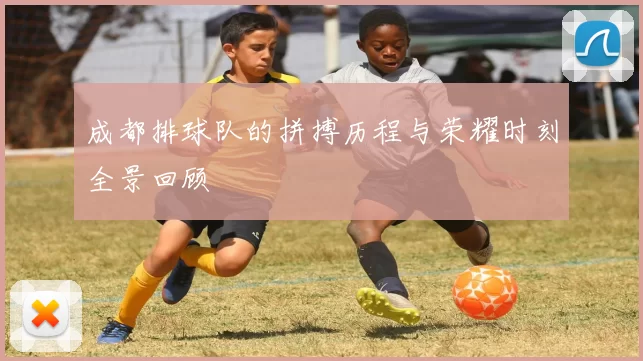 成都排球队的拼搏历程与荣耀时刻全景回顾