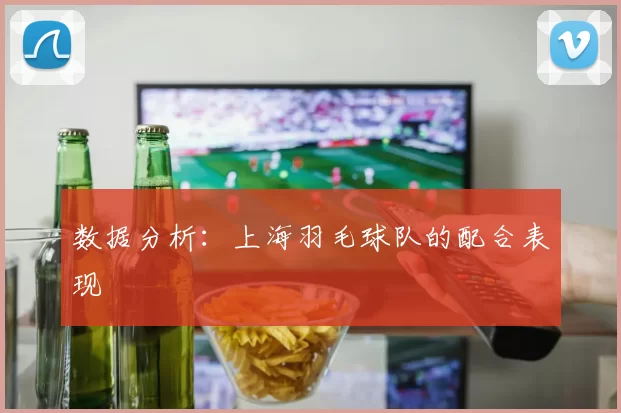 数据分析：上海羽毛球队的配合表现