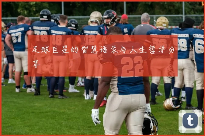 足球巨星的智慧语录与人生哲学分享