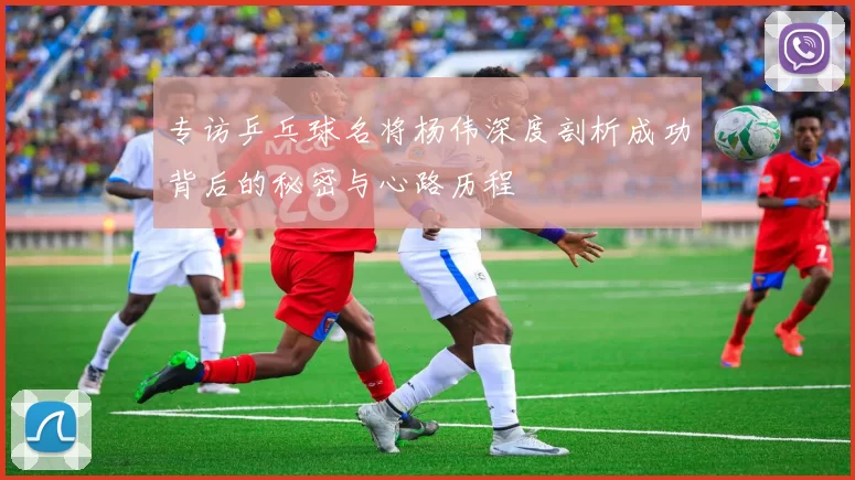 专访乒乓球名将杨伟深度剖析成功背后的秘密与心路历程