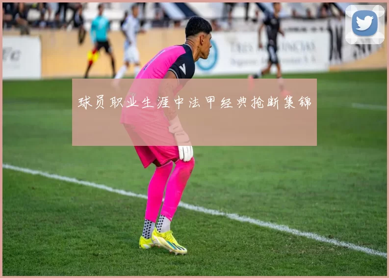 球员职业生涯中法甲经典抢断集锦