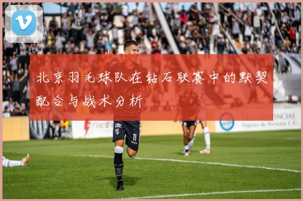 北京羽毛球队在钻石联赛中的默契配合与战术分析