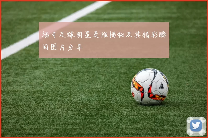 杨可足球明星是谁揭秘及其精彩瞬间图片分享