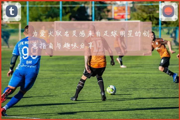 为爱犬取名灵感来自足球明星的创意指南与趣味分享