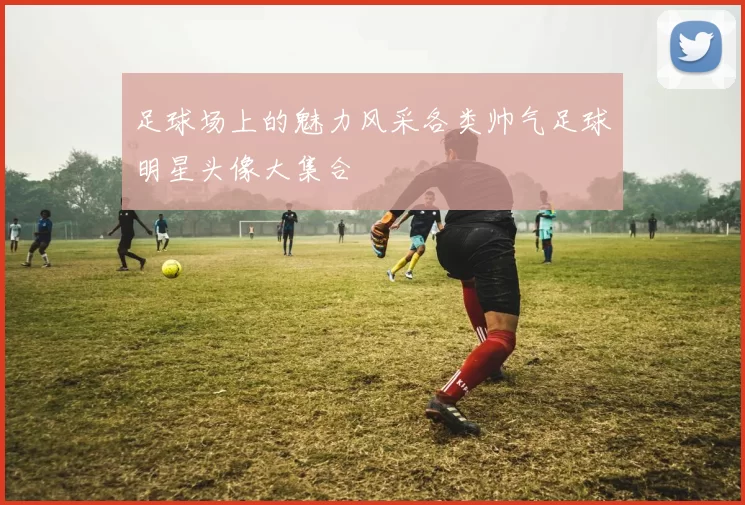 足球场上的魅力风采各类帅气足球明星头像大集合