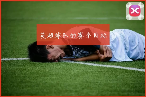 英超球队的赛季目标