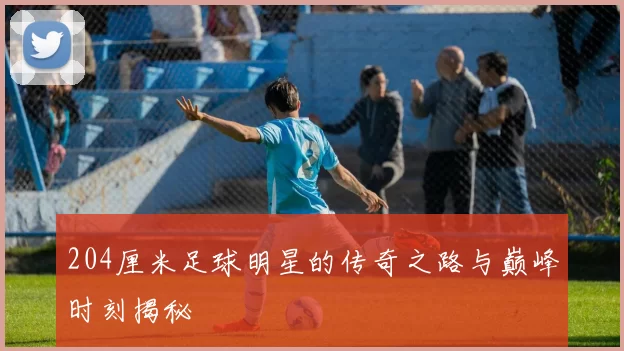 204厘米足球明星的传奇之路与巅峰时刻揭秘