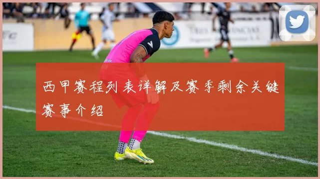 西甲赛程列表详解及赛季剩余关键赛事介绍