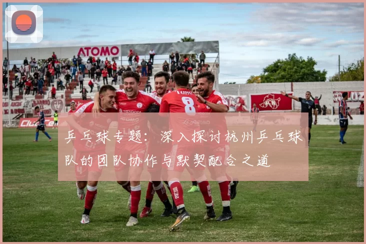 乒乓球专题：深入探讨杭州乒乓球队的团队协作与默契配合之道