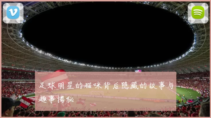 足球明星的猫咪背后隐藏的故事与趣事揭秘