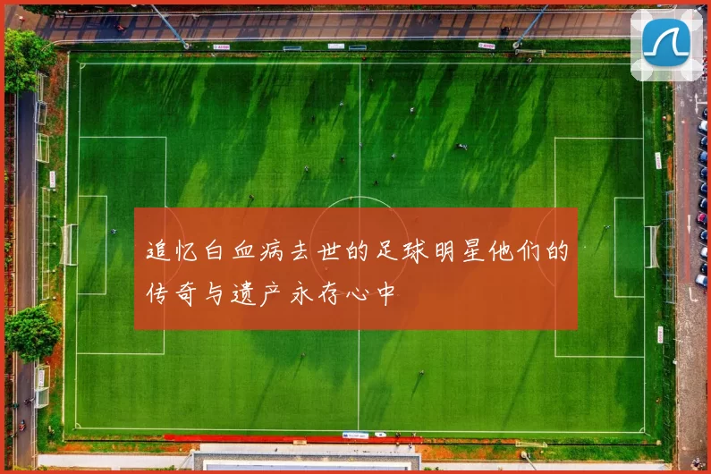 追忆白血病去世的足球明星他们的传奇与遗产永存心中