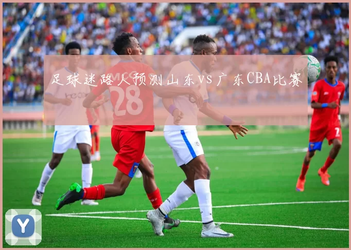 足球迷路人预测山东vs广东CBA比赛