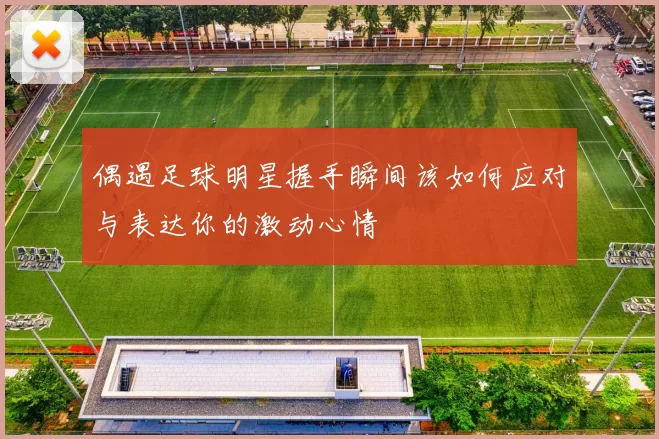 偶遇足球明星握手瞬间该如何应对与表达你的激动心情