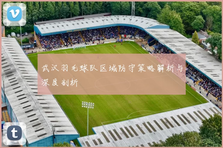 武汉羽毛球队区域防守策略解析与深度剖析