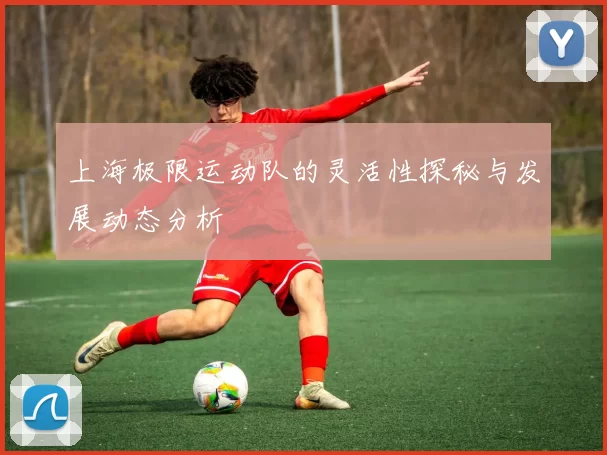 上海极限运动队的灵活性探秘与发展动态分析