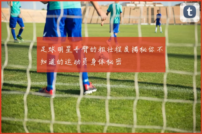 足球明星手臂的粗壮程度揭秘你不知道的运动员身体秘密