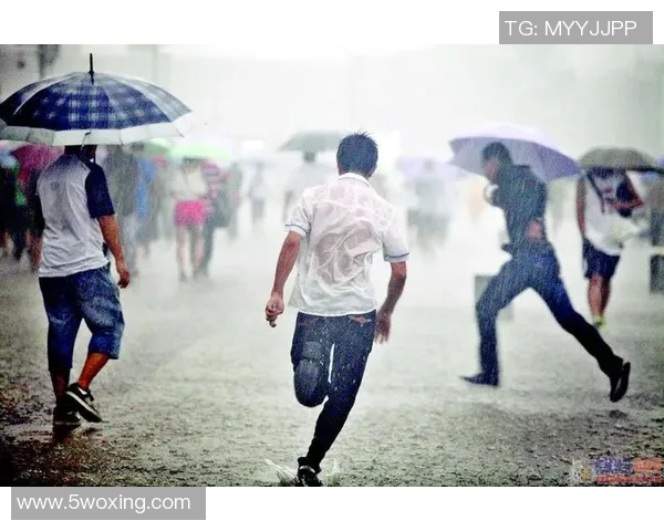《在风雨中奔跑的青春：竞技体育与梦想的碰撞》