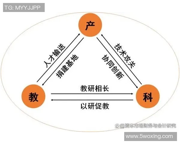 以训练为核心的全面提升方案探索与实践路径解析