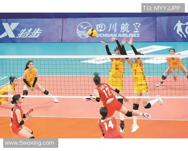 上海排球队的崛起与发展探秘聚焦排球运动的力量与魅力
