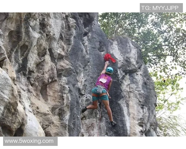 北京攀岩队的力量与技术分析：攀岩运动的未来发展探讨