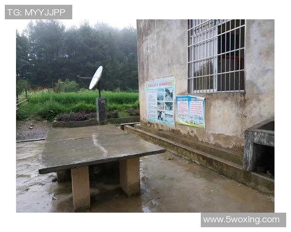 吴芳的乒乓球人生深度对话探讨她的成长与奋斗历程