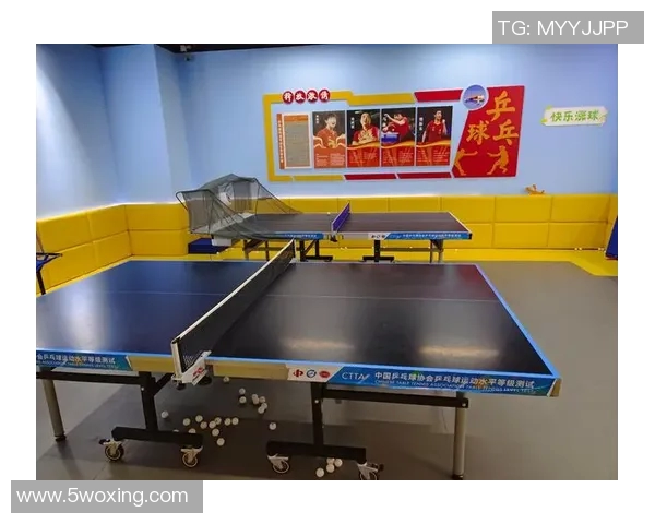 成都乒乓球队的包夹战术揭秘与深度分析探讨