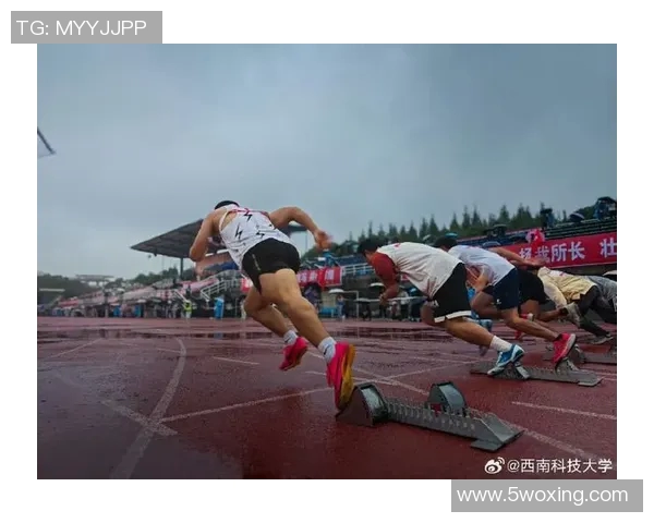 《在风雨中奔跑的青春：竞技体育与梦想的碰撞》