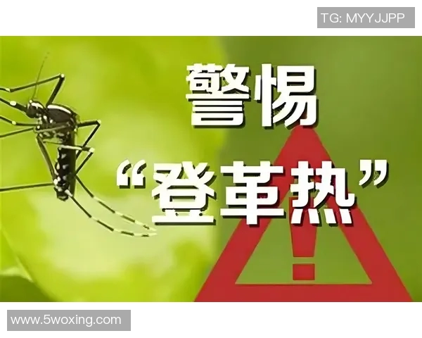 新加坡政府宣布加强防疫措施 保障民众健康应对新一波疫情挑战