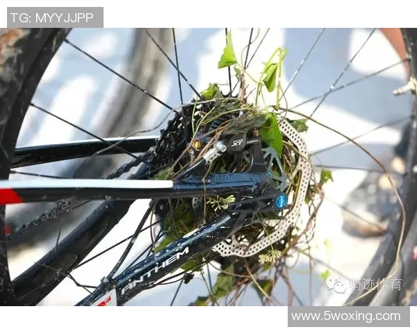 西安极限运动队与南京极限运动队赛后复盘分析团队配合与战术执行